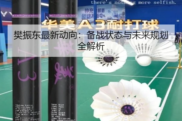 樊振东最新动向：备战状态与未来规划全解析
