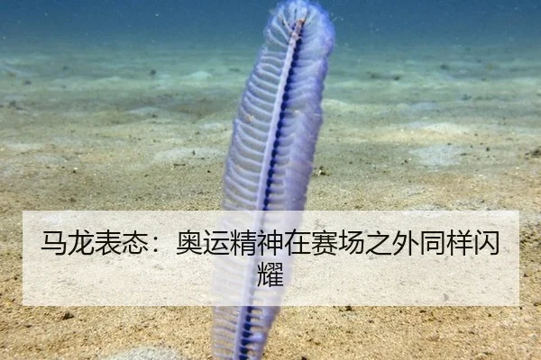 马龙表态：奥运精神在赛场之外同样闪耀